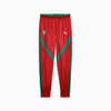 Puma Pantaloni della Tuta Morocco FRMF Pre-match