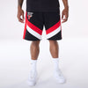 Shorts Chicago Bulls NBA Panel